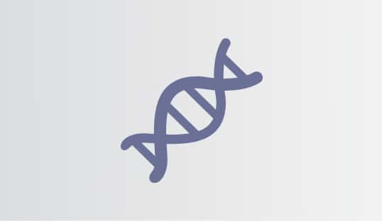 Branding DNA Icon