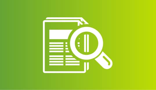 Magnifying Documents Icon