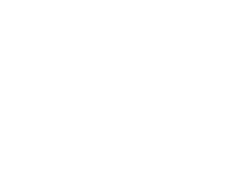 IYHC logo