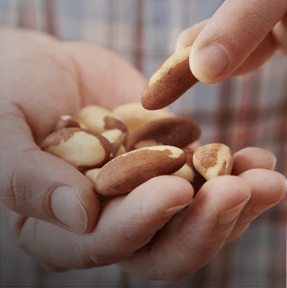 Hand Full of Snack Nuts