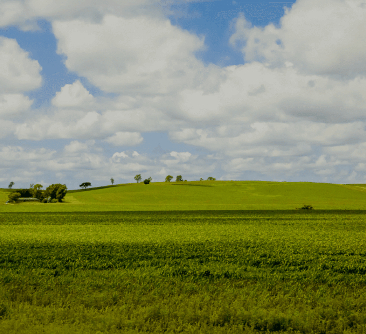 Dragotec GT Agriculture Branding Example